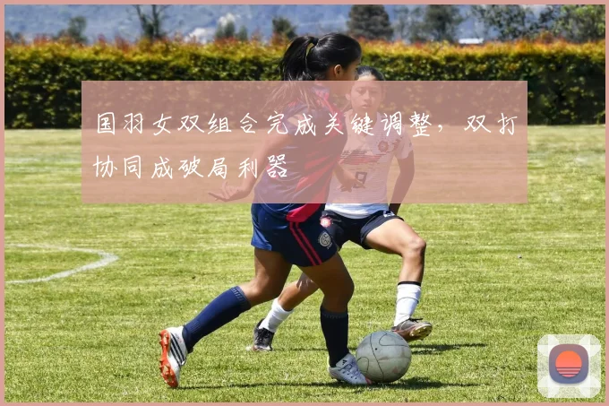 国羽女双组合完成关键调整,双打协同成破局利器 - 虎扑体育推荐