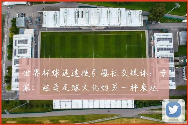 世界杯球迷造梗引爆社交媒体，专家：这是足球文化的另一种表达 - 虎扑体育推荐